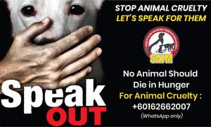 How to report animal abuse in Malaysia?