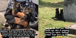Malaysian Woman Follows Her Cousin To Dump Pet Cats and Records It On Instagram