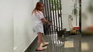 Segera ambil tindakan