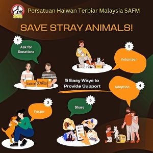 5 Cara Kita Boleh Bantu NGO Haiwan di Malaysia!