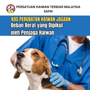 Kos Perubatan Haiwan Jagaan: Beban Berat yang Dipikul oleh Penjaga Haiwan