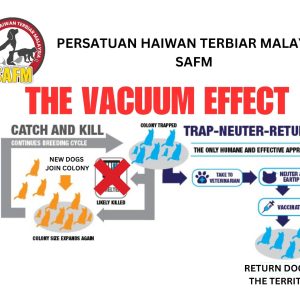 Apa Itu ‘Vacuum Effect’? Tangkap & Bunuh Haiwan Tidak Berkesan?