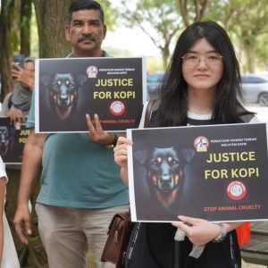 4. Justice for Kopi: 120 DVS Reports Made by Malaysians