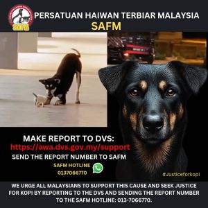 1. The Senseless Killing of Kopi, a Stray Dog in Terengganu, Malaysia